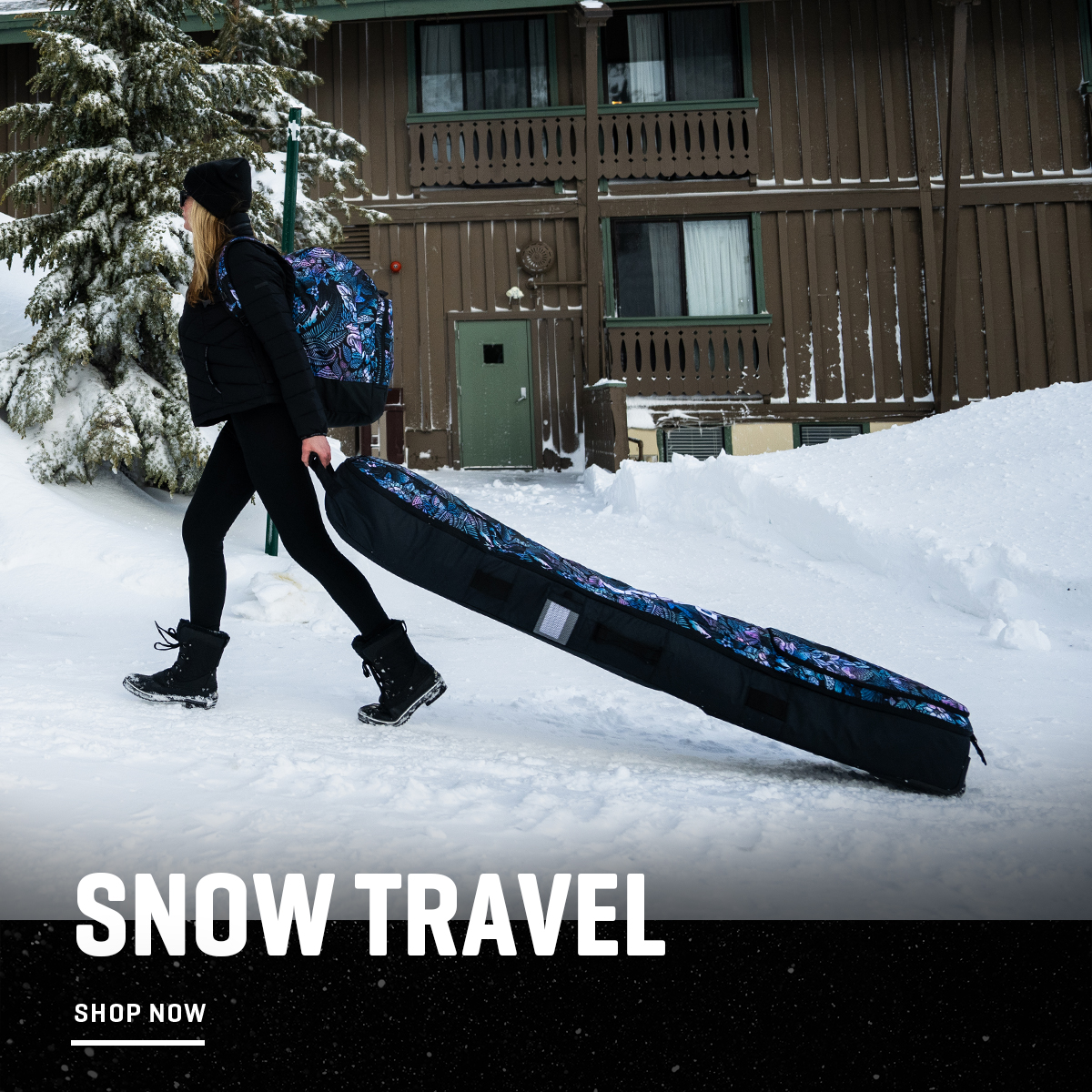 snowtravel